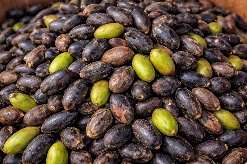 Close-up of Pili Nuts with green pods on a wooden surface