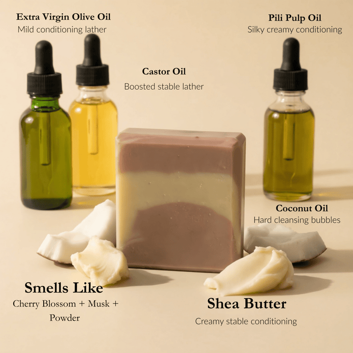 Cherry Blossom Festival Pili Pulp Oil Bar Soap - PiliBee