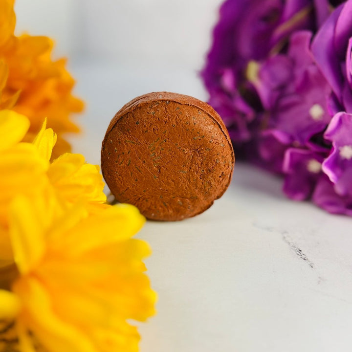 Conditioning Shampoo Bar - PiliBee