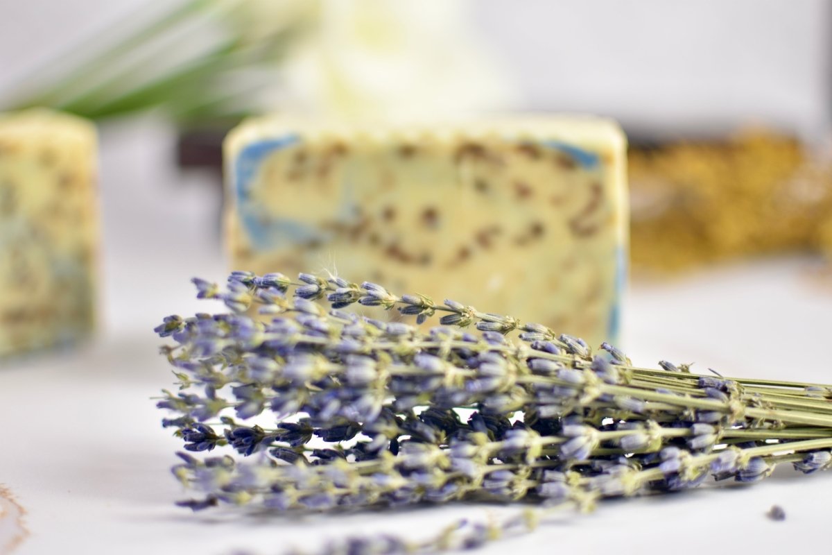 Floral Scented Pili Pulp Oil Bar Soap - PiliBee
