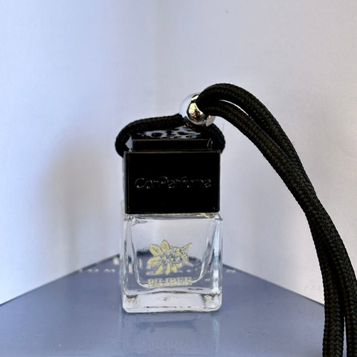 Scented Car Reed Diffuser - PiliBee
